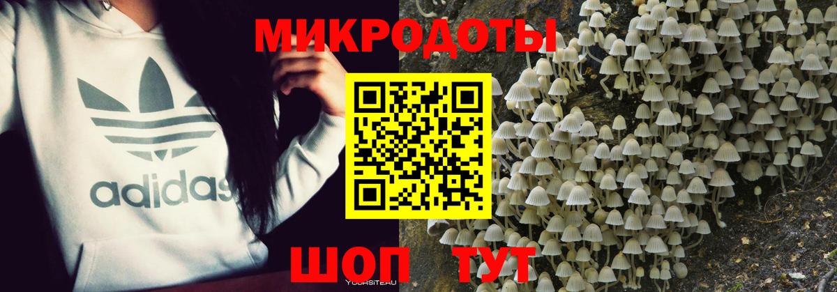 Псилоцибиновые грибы мицелий  Галлюциногенные грибы мухоморы  Вход с VPN  Гагарин 